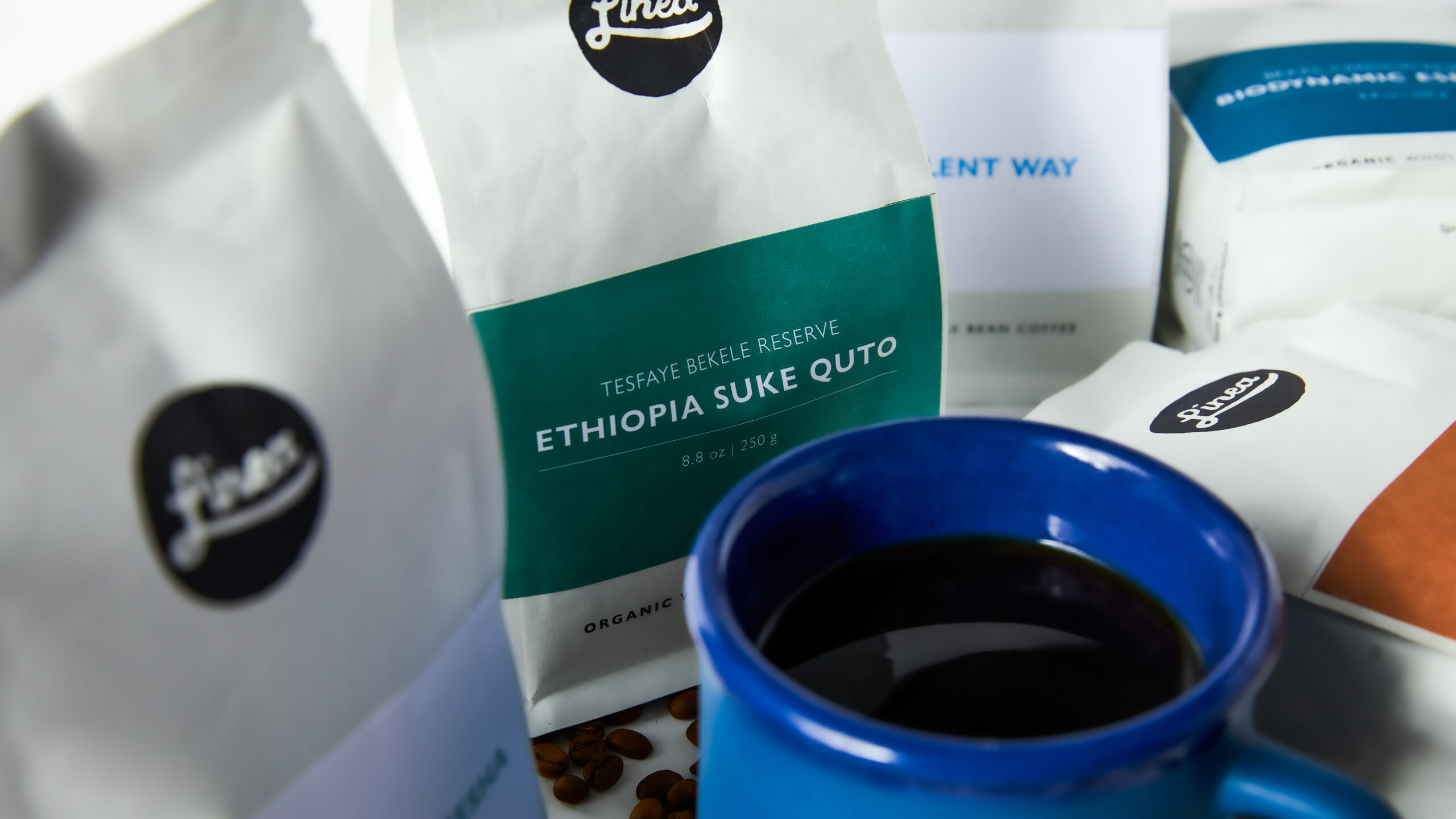 Roasters Choice Subscription 8.8 ounce roasted coffee