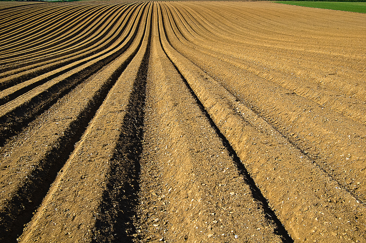 conventional farming